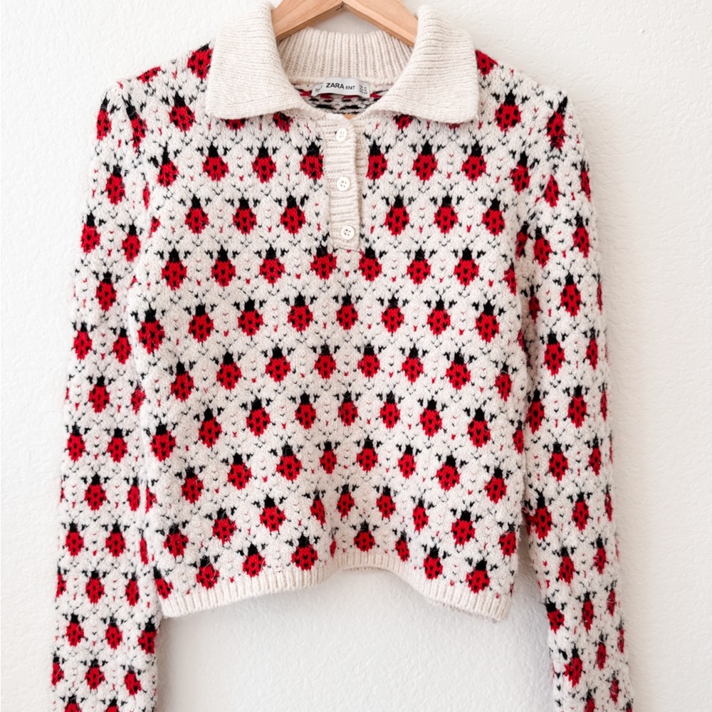 Zara Knit Sweater with Ladybug Pattern